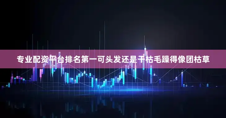 专业配资平台排名第一可头发还是干枯毛躁得像团枯草
