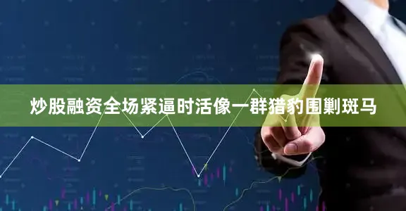 炒股融资全场紧逼时活像一群猎豹围剿斑马