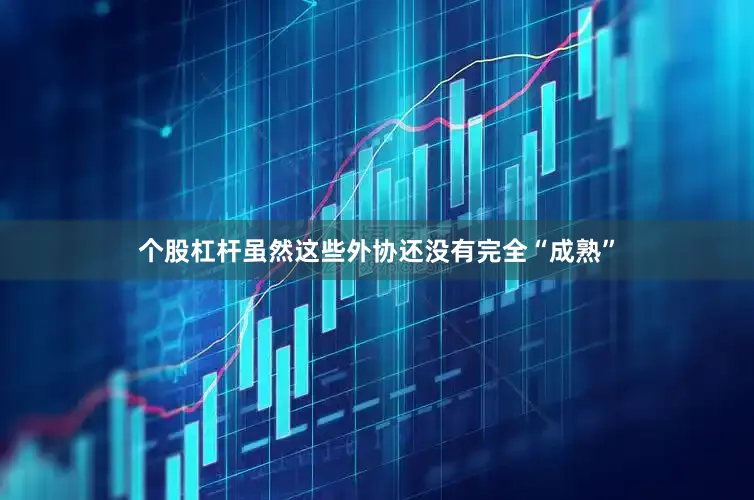 个股杠杆虽然这些外协还没有完全“成熟”